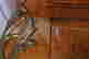 item-136623604=4