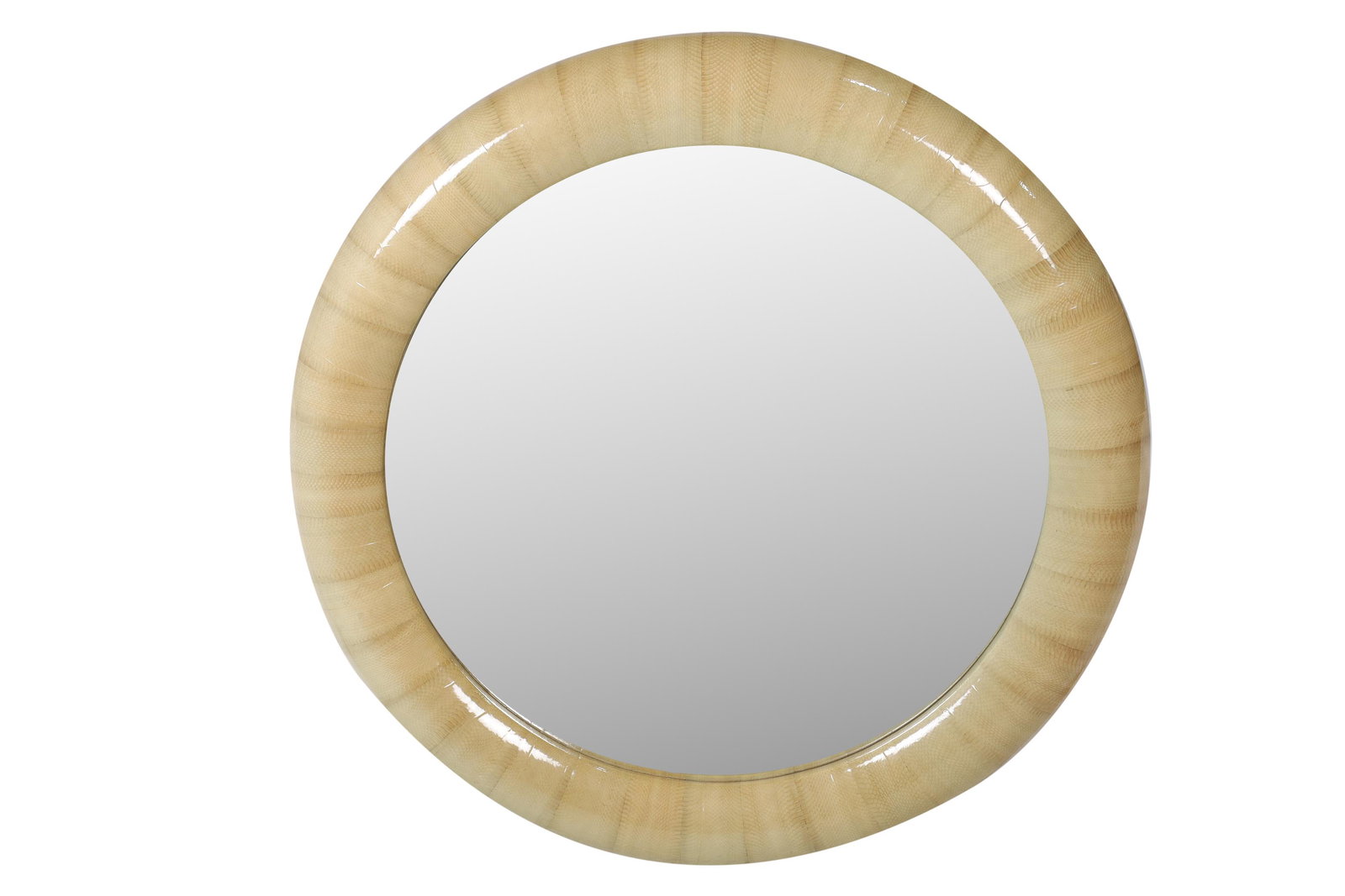 Snakeskin Mirror (1 of 3)