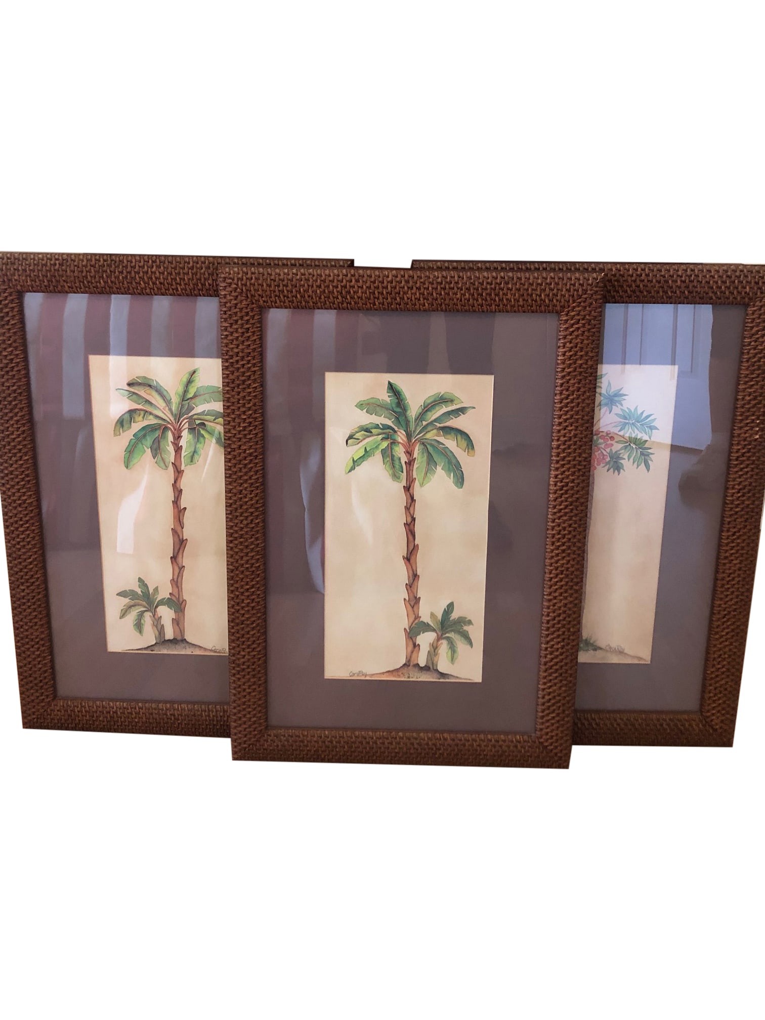 Palm Tree Prints - 3 (1 of 2)