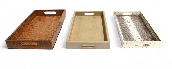 Snakeskin & Leather Trays - 3
