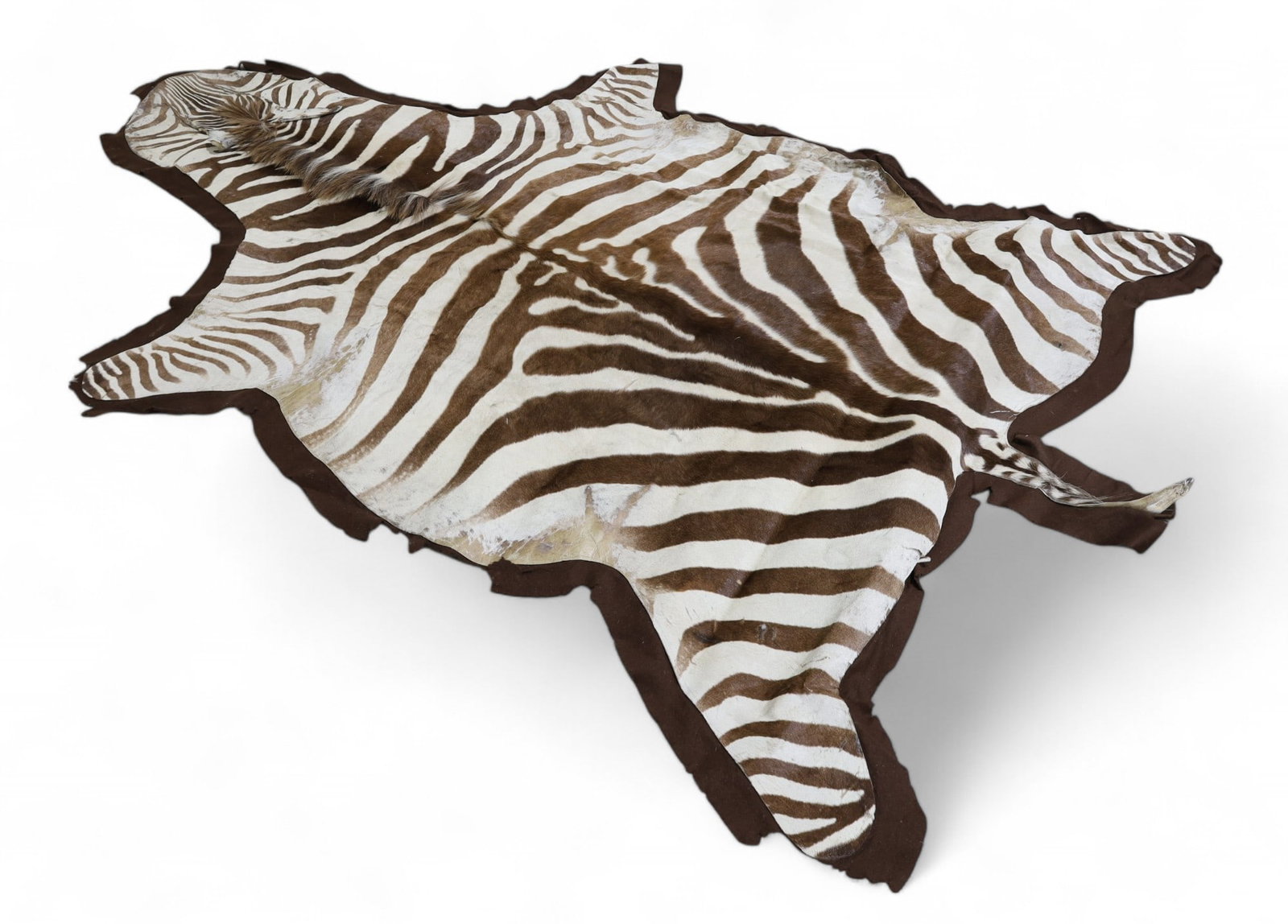 Zebra Skin Rug (1 of 11)