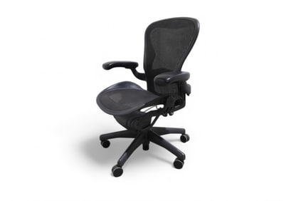 Herman Miller Ergo Chair