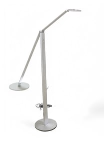 Articulating Floor Lamp