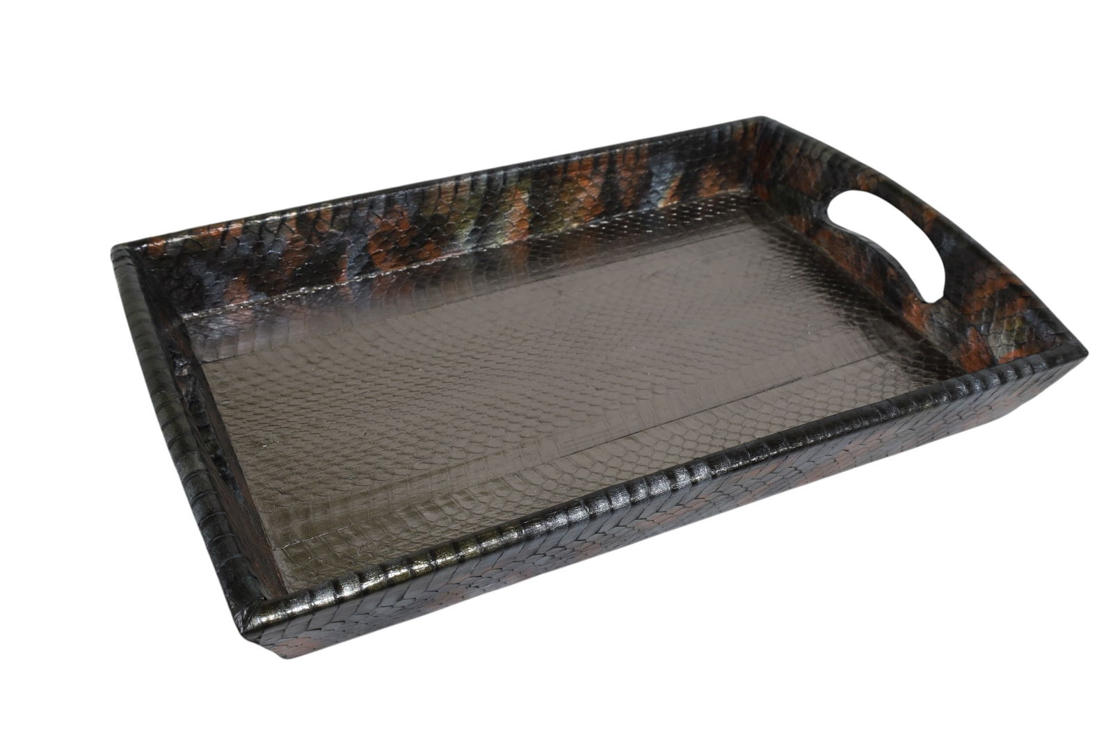 Snakeskin Tray (1 of 12)
