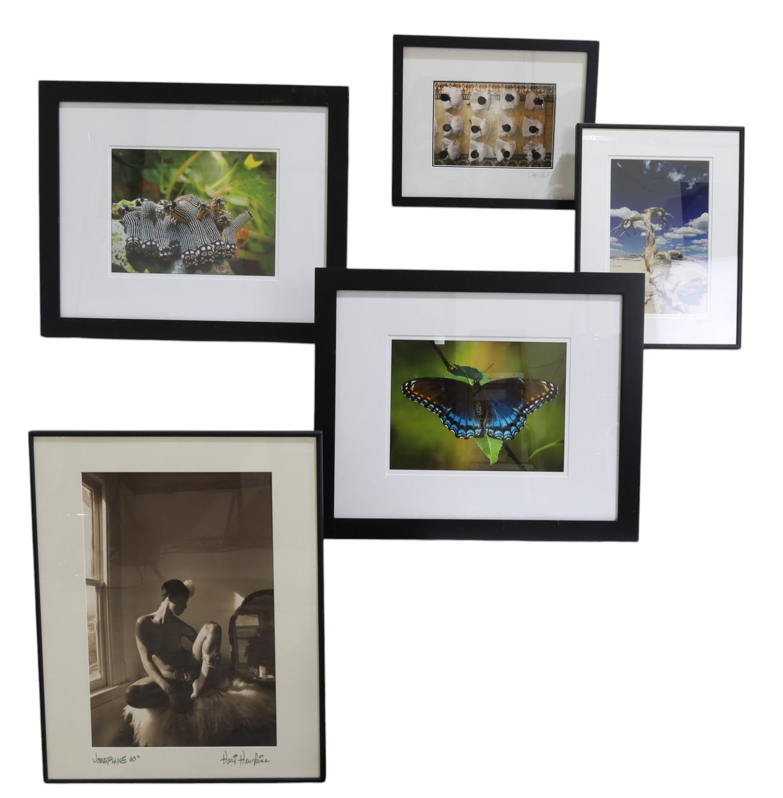 Original Photographs -  Lot of 5 (1 of 8)