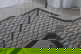 item-209037129=6