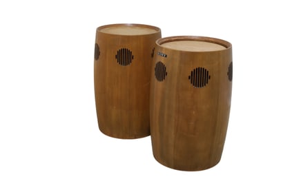 Sony Bongo Speakers - Pair