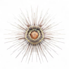 Brutalist Style Sunburst Sculpture