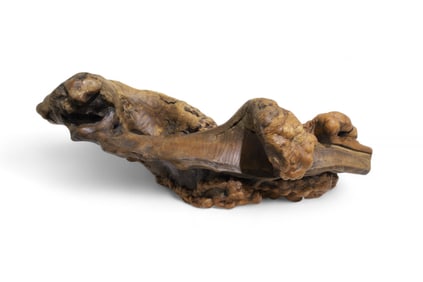 Freeform Burl Root Sculpture