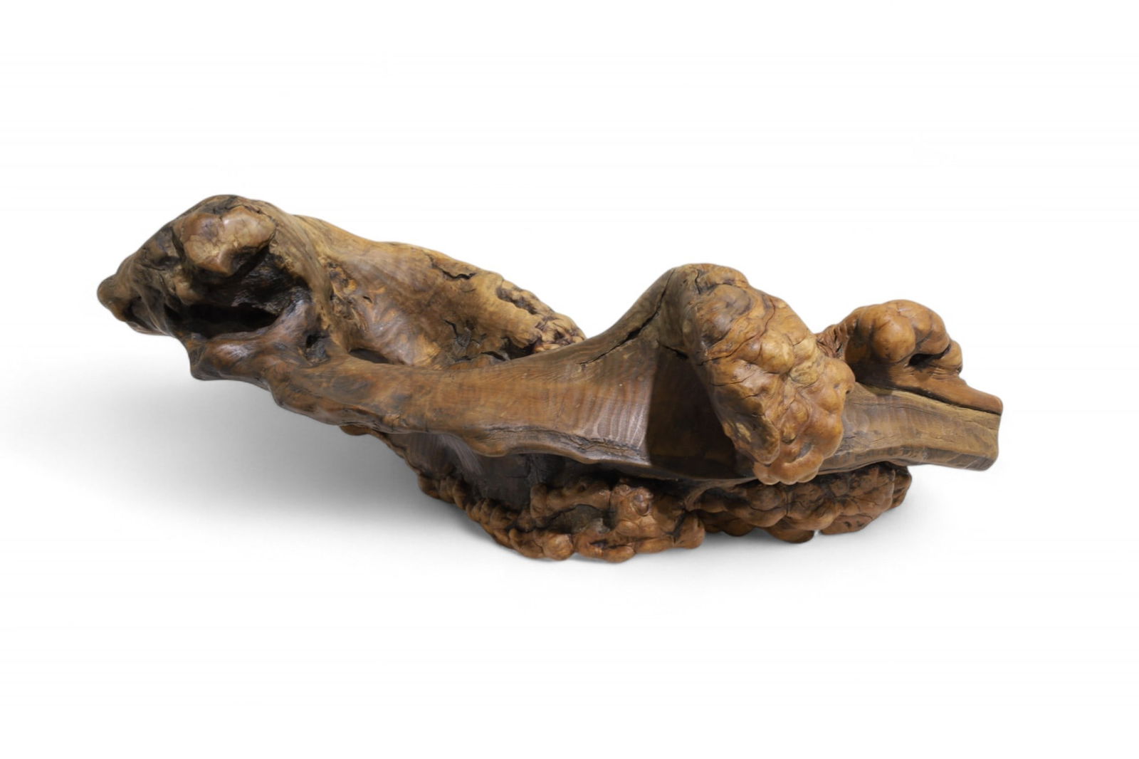 Freeform Burl Root Sculpture (1 of 7)
