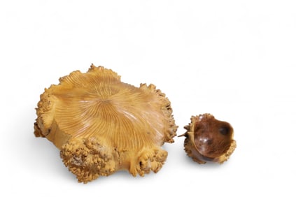 Freeform Burl Carvings - 2