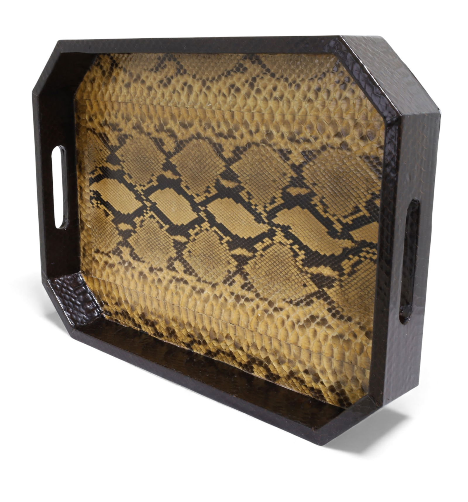Python Skin     Covered Tray (1 of 9)