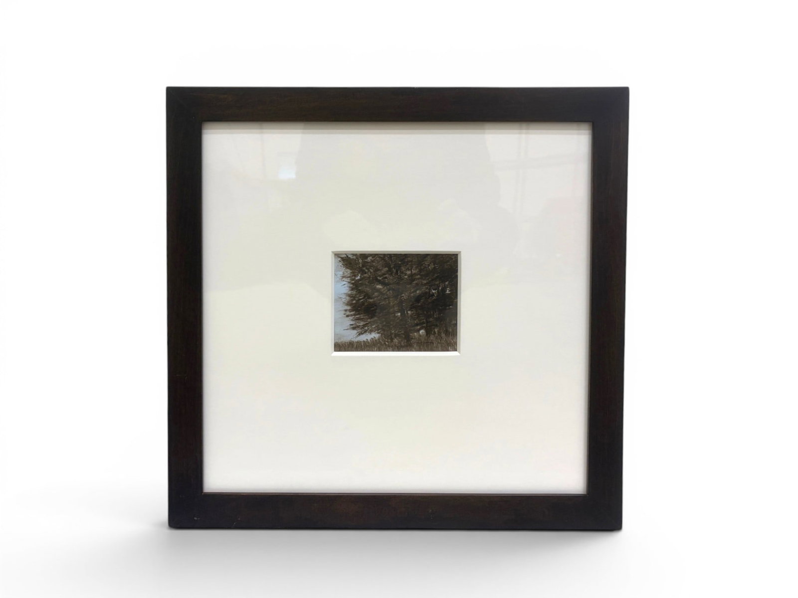 Pamela Sztybel Monotype Trees at the Edge of Field (1 of 4)