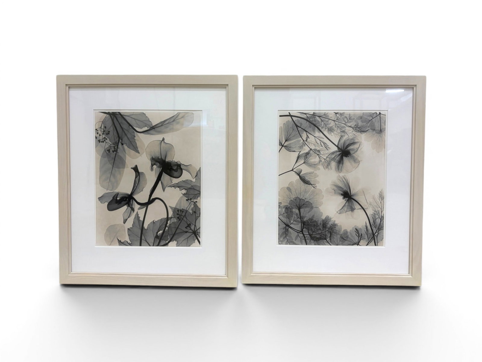 Pair Judith McMillan Silver Gelatin Prints (1 of 7)