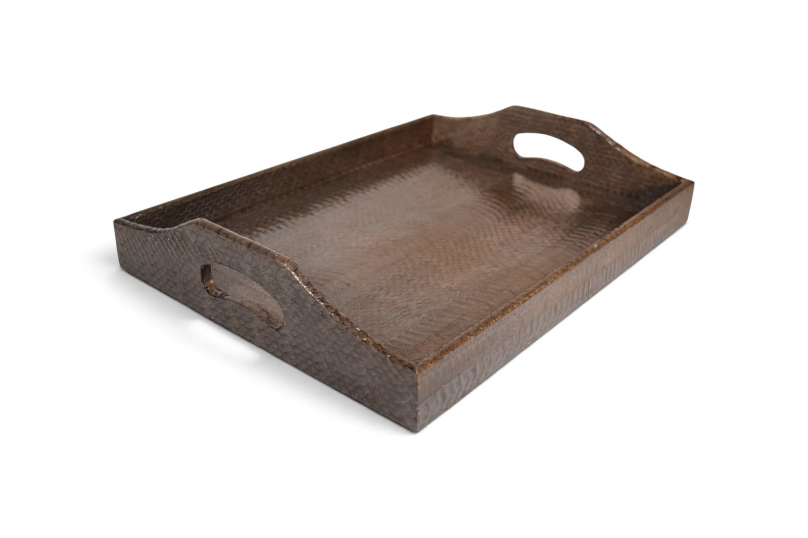 Karl Springer Style Cobra & Lizard Skin Tray (1 of 9)