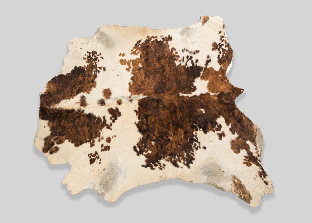 Large Cowhide Rug (1 of 3)