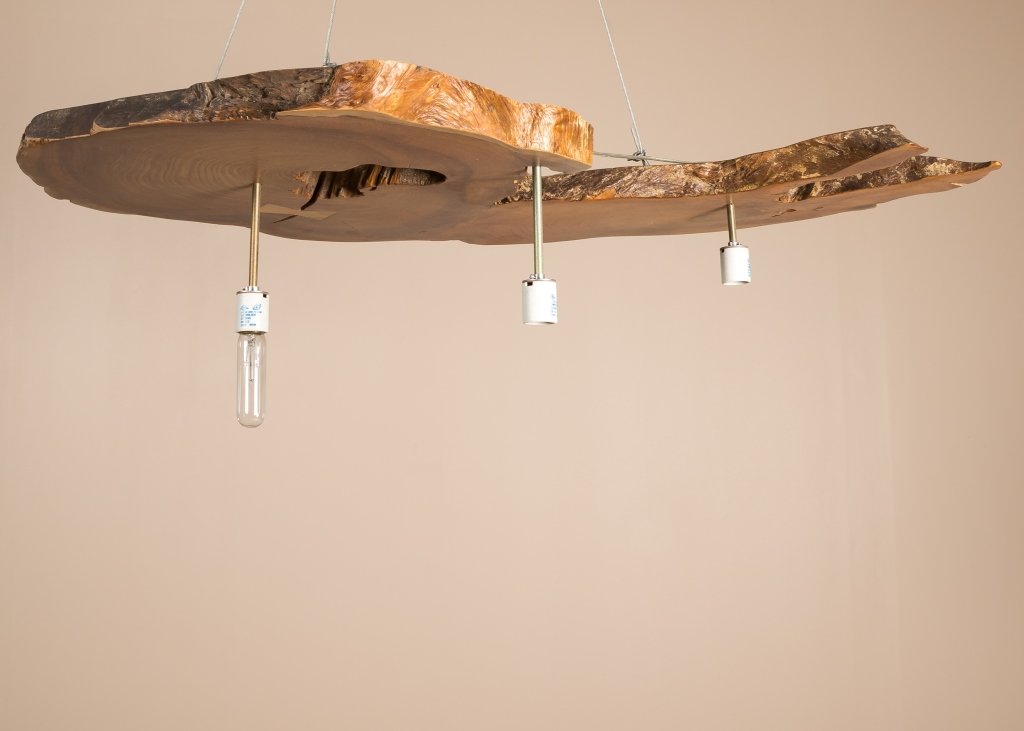 Modern Live Edge Cross Section Chandelier (1 of 3)