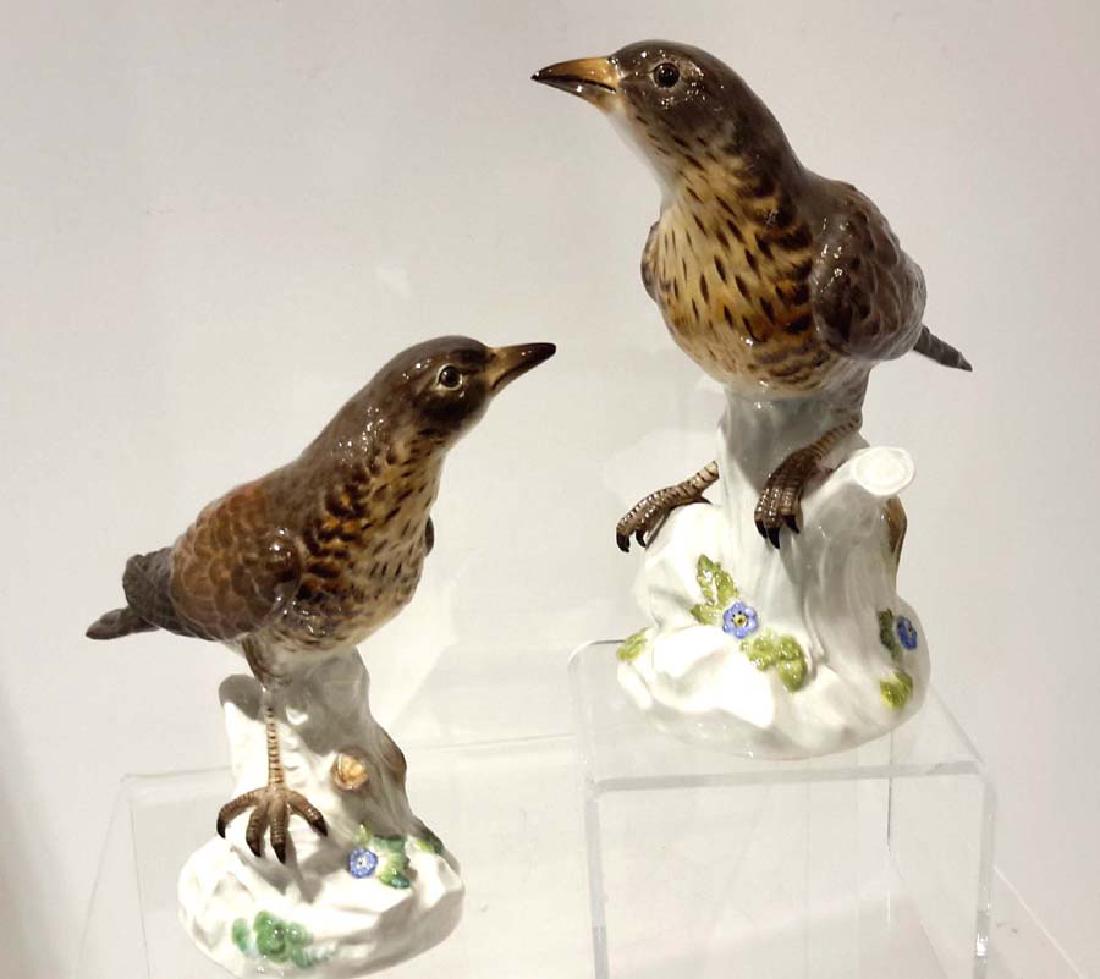 Pair of Meissen Porcelain Models of Fieldfare Birds, (1 of 10)