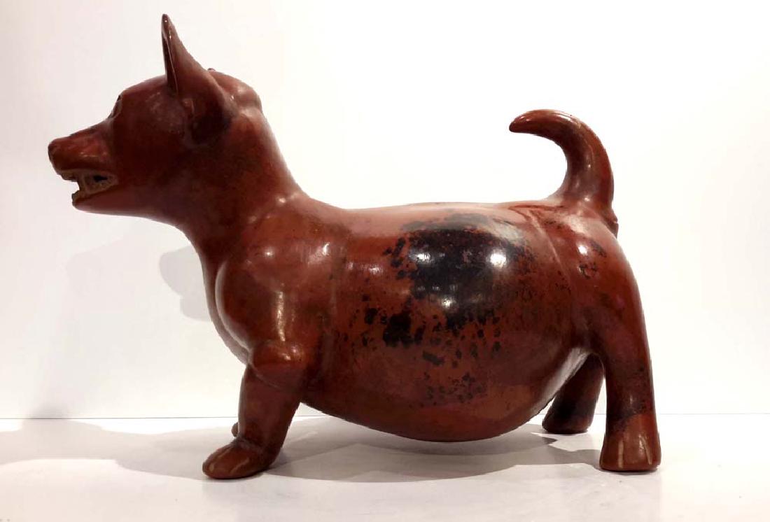 Colima Pottery Dog, western Mexico, c. 100 B.C. - 250 (1 of 10)