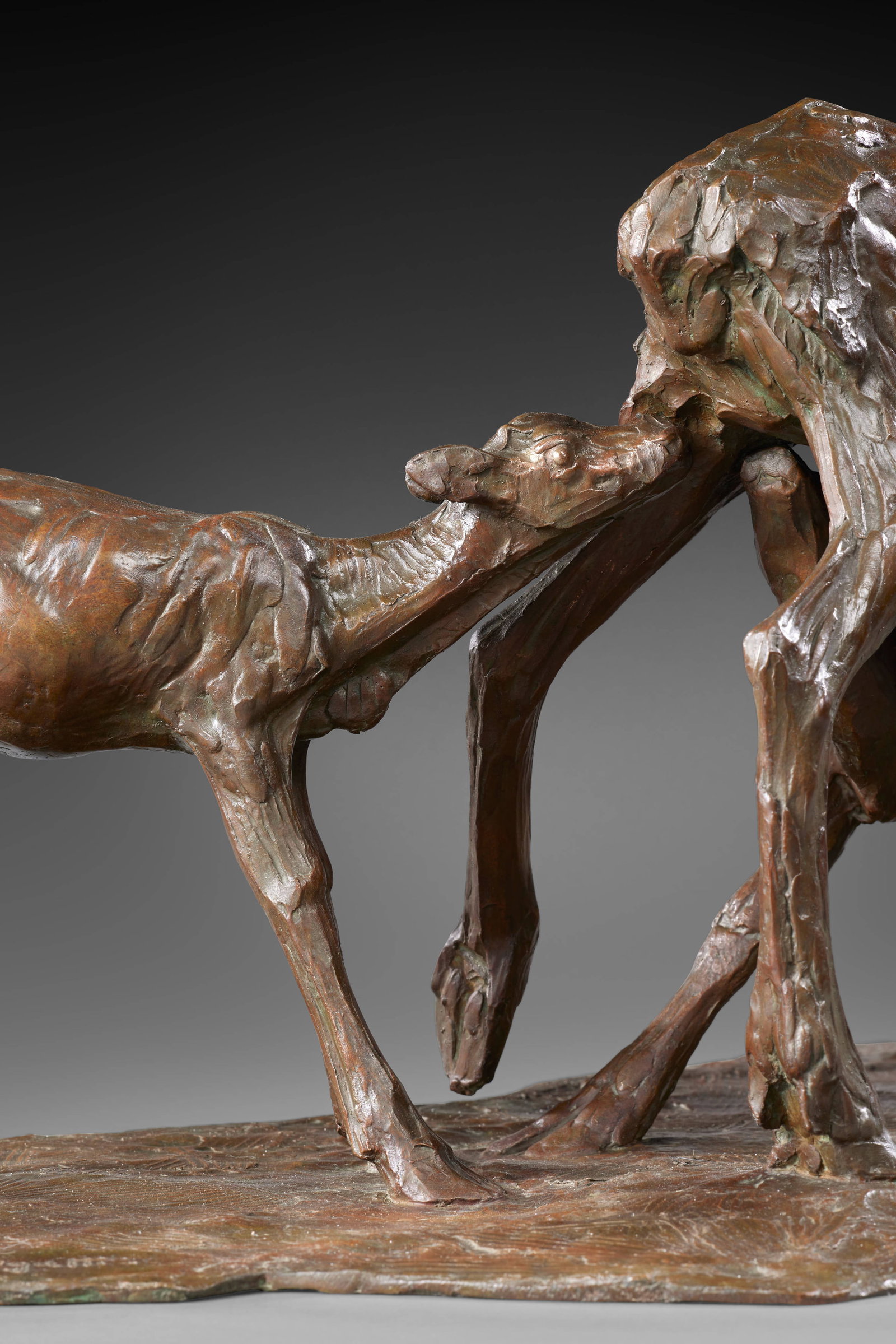 Rembrandt BUGATTI - 10