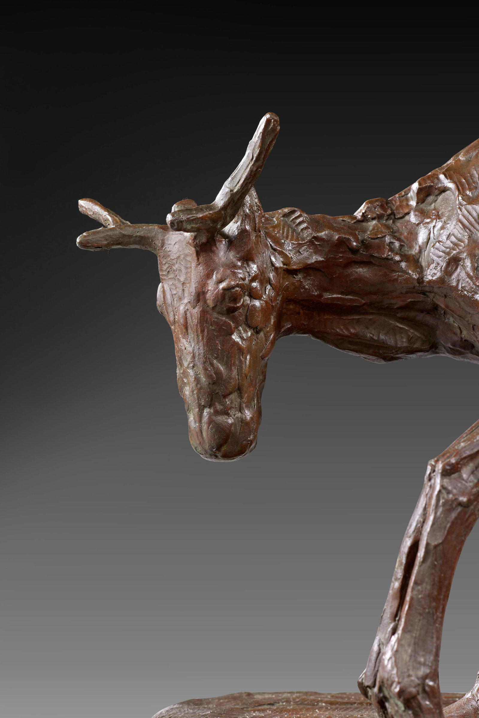 Rembrandt BUGATTI - 12