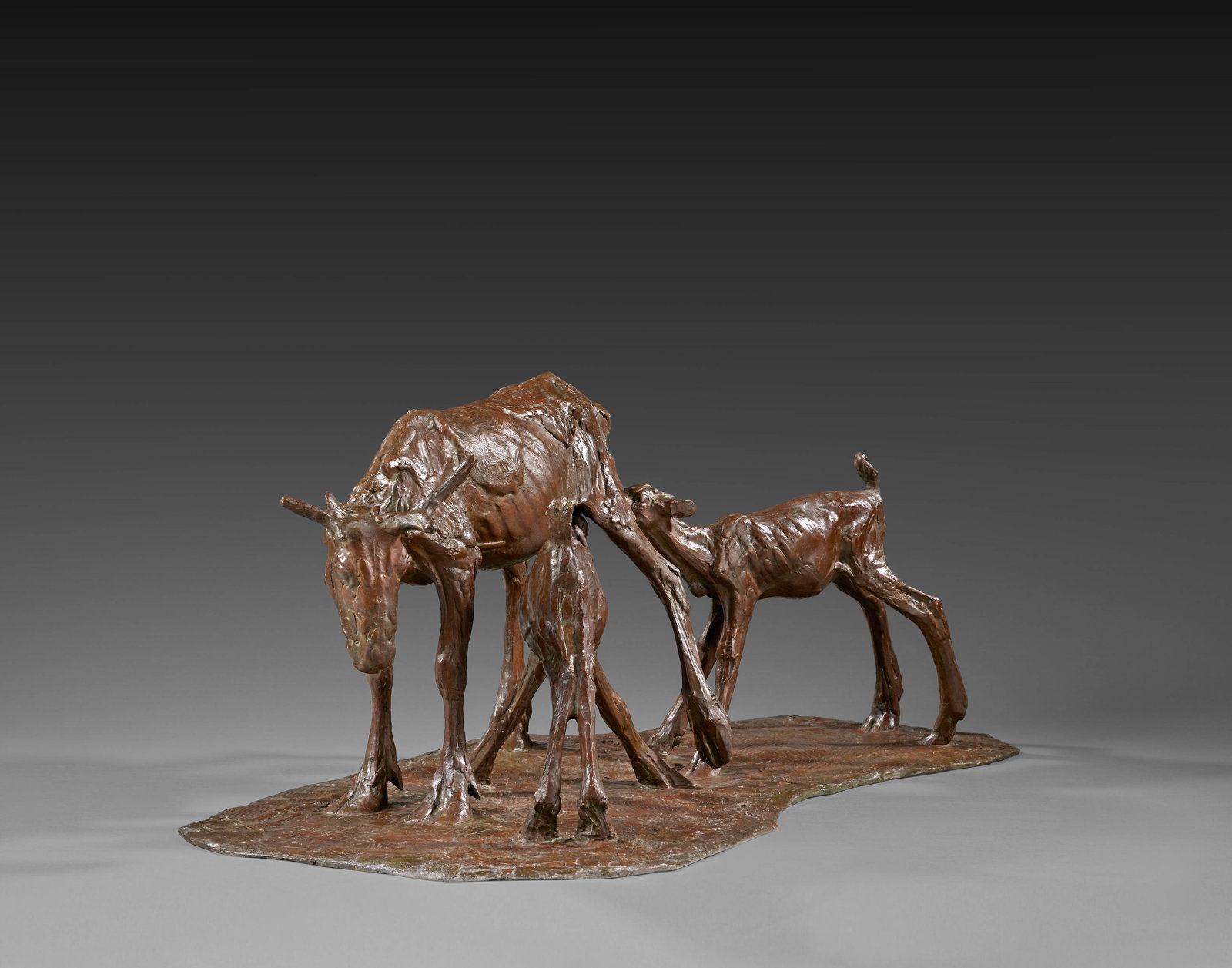 Rembrandt BUGATTI - 7