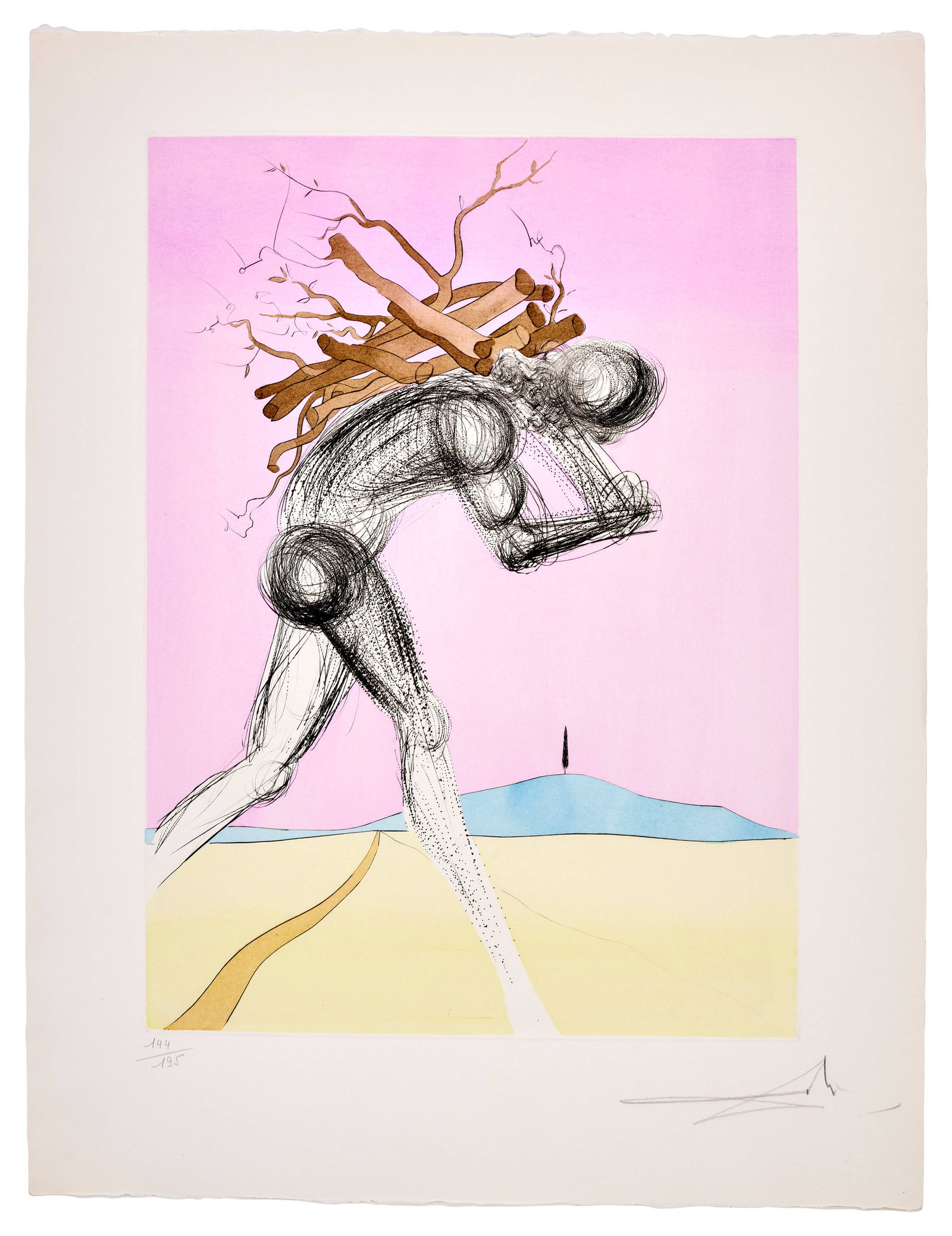 Salvador DALÍ - 17