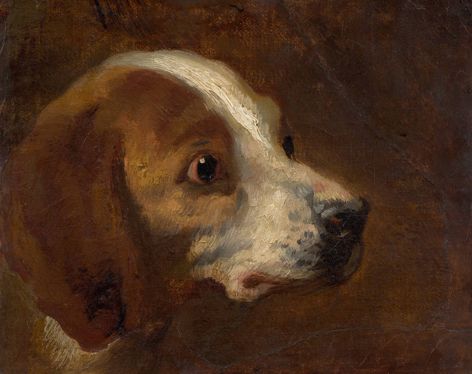 Théodore GÉRICAULT: Théodore GÉRICAULT (1791 - 1824) Tête de chien Huile sur papier marouflé sur toile 21.5 x 27 cm Provenance : Eric Turquin, Paris Acquis auprès de ce dernier par l'actuel