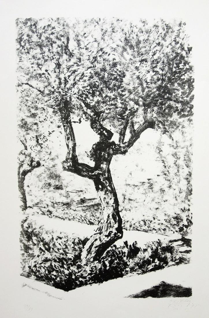 Avigdor Arikha (Israeli - French, 1929-2010): Olive Tree in the Israel Museum, 1975, Lithograph, 76 x 56 cm, Signed, dated and numbered "29/89". Documented in the catalog "Avigdor Arikha, Prints - 1950-1985", author: Mordechai Omer, published by