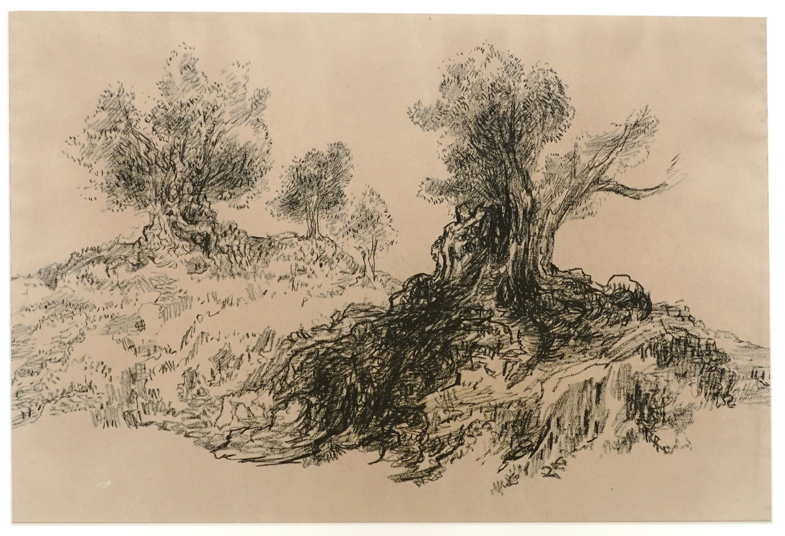 Leopold Krakauer (Austrian - Israeli, 1890-1954): Olive trees in the landscape, 1930s, Graphite on paper, 54 x 73 cm, Unsigned (COA will be issued by Yair Art Gallery, Tel Aviv)