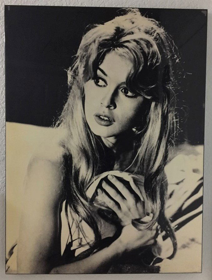 Brigitte Bardot Large Acrylic photo black & white: 47"x 35" Bardot was born a brunette in Paris, the daughter of Louis Bardot (1896-1975) and Anne-Marie "Toty" Bardot (nu Mucel; 1912-1978). Louis had an engineering degree and worked with his father, C
