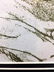 Toulouse Lautrec Lithograph - 2