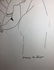 Henri Matisse Ink on paper - 3