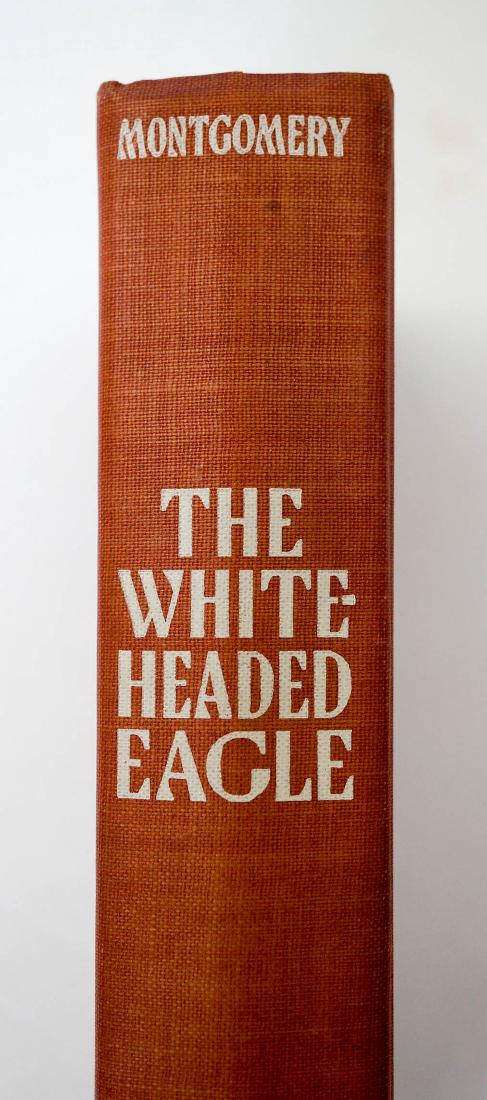 The White Headed Eagle (1 of 5)