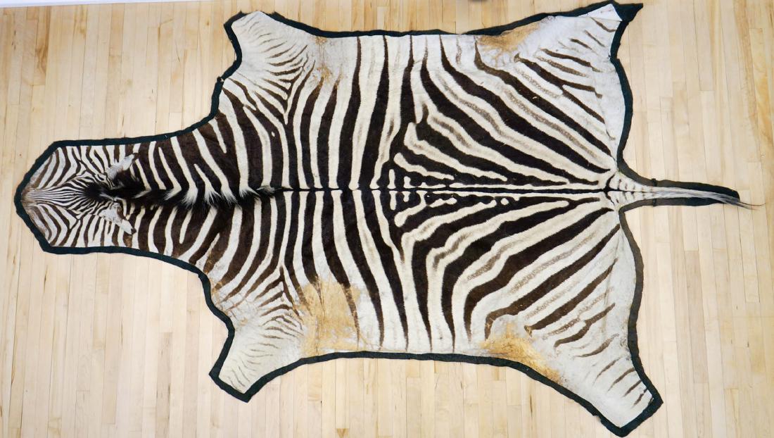 Zebra Hide Area Rug: Zebra hide area rug 120" x 66". We ship most items in-house with the exception of firearms, large and/or heavy items and any other items/s that say special shipping required. We also gladly combine sh