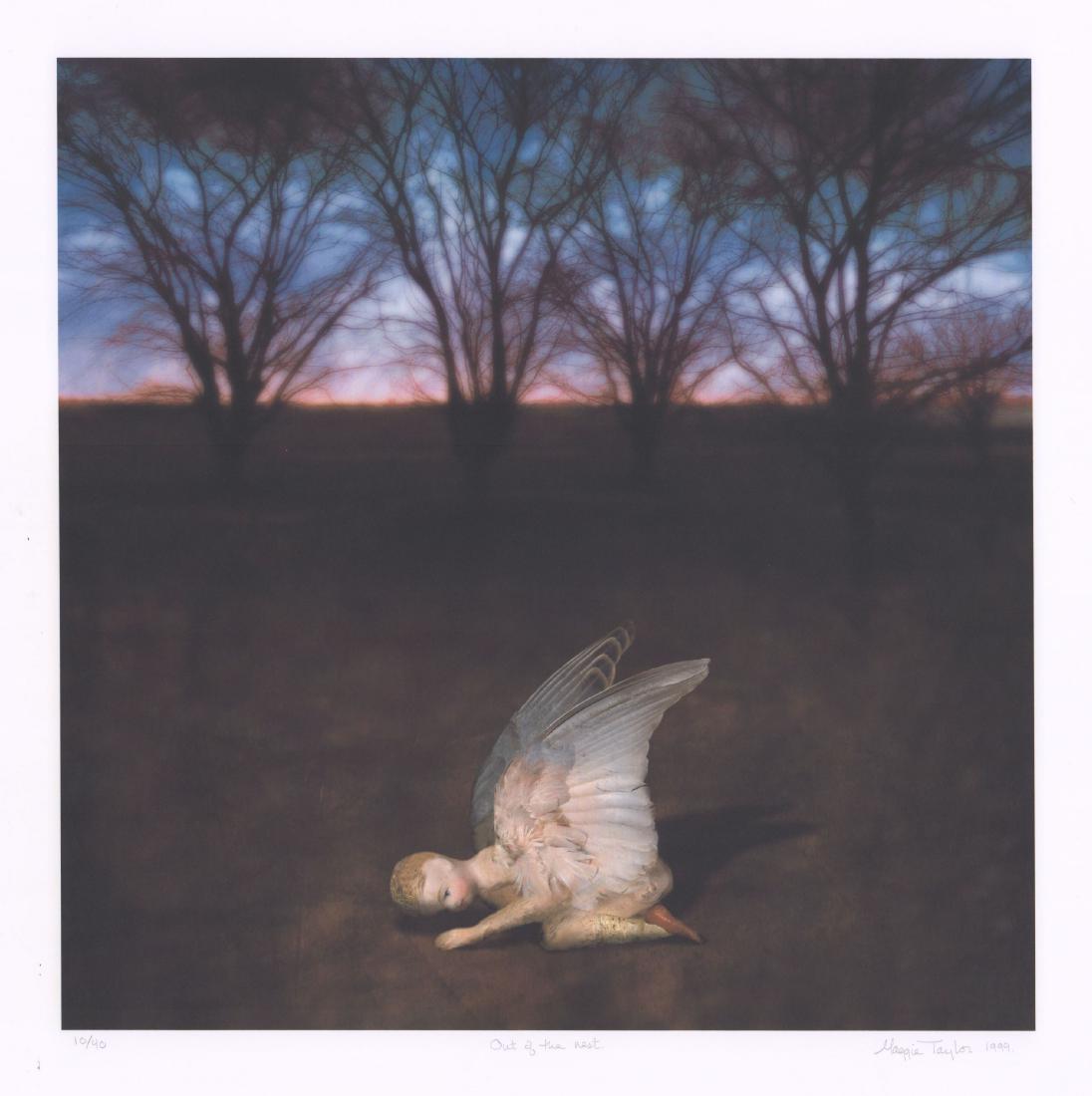 Maggie Taylor (born 1961) (1 of 2)