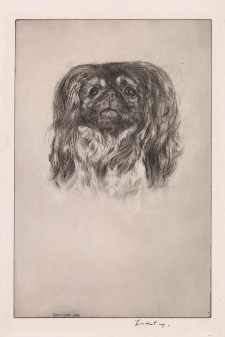 Levon West Etching [Pekingese] (1 of 4)