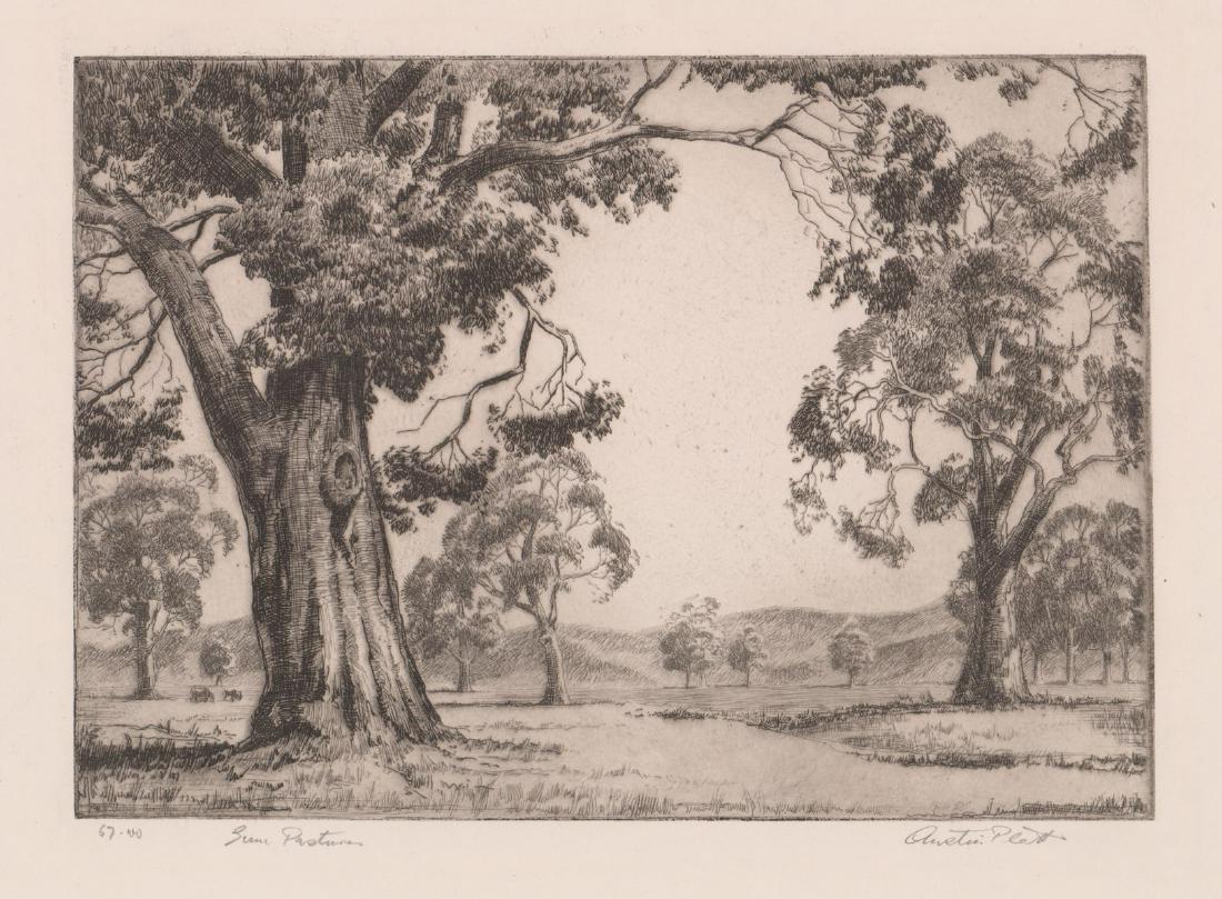 Austin Platt Etching (1 of 5)