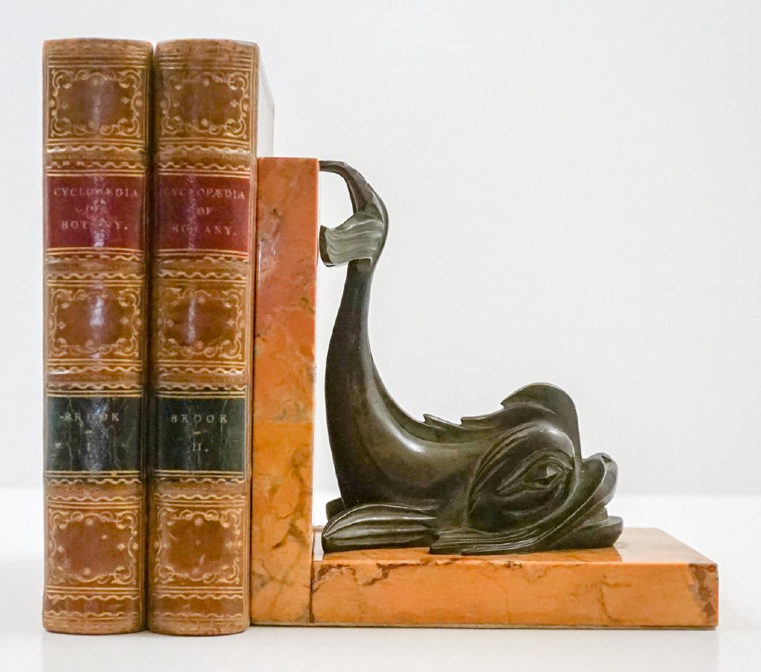 New Cyclopaedia of Botany by R. Brook Vol I & II (1 of 5)