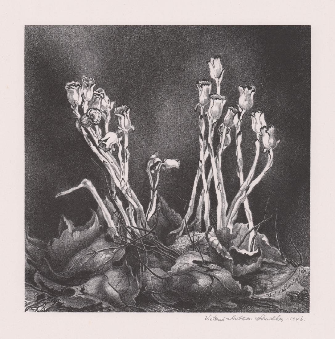 Victoria Hutson Huntley Lithograph (1 of 5)