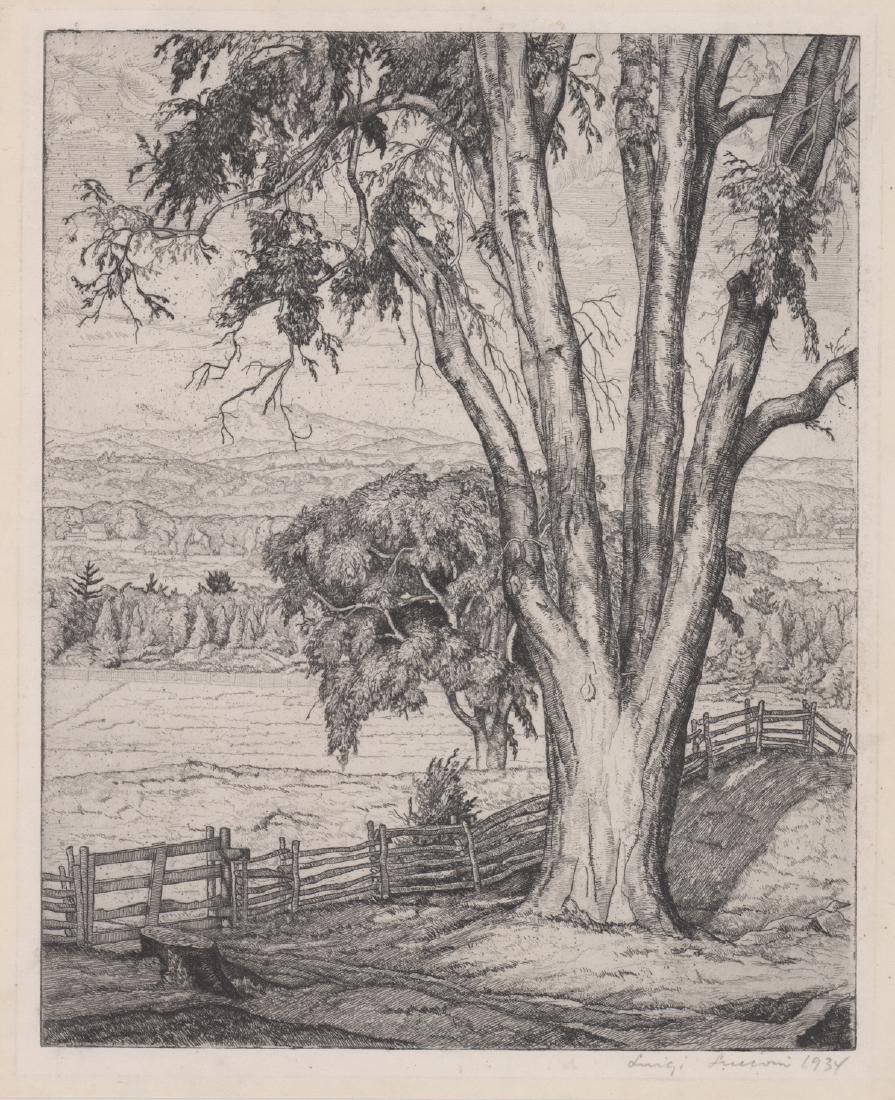 Luigi Lucioni Pencil Signed Etching (1 of 4)