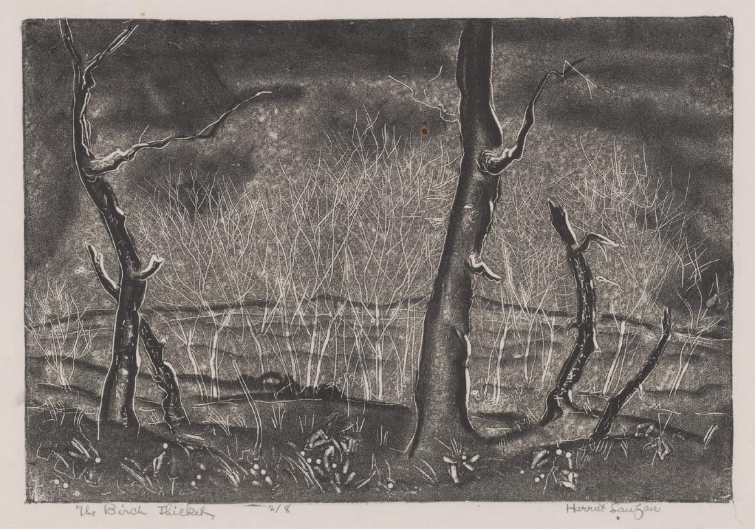 Harriet Lanfair Lithograph: Harriet Lanfair original lithograph. Signed in pencil lower right. Titled "The Birch Thicket" lower left. Approximate image size 8 1/8" x 12" and sheet size 10 3/4" x 13 5/8". Printed on tissue paper,