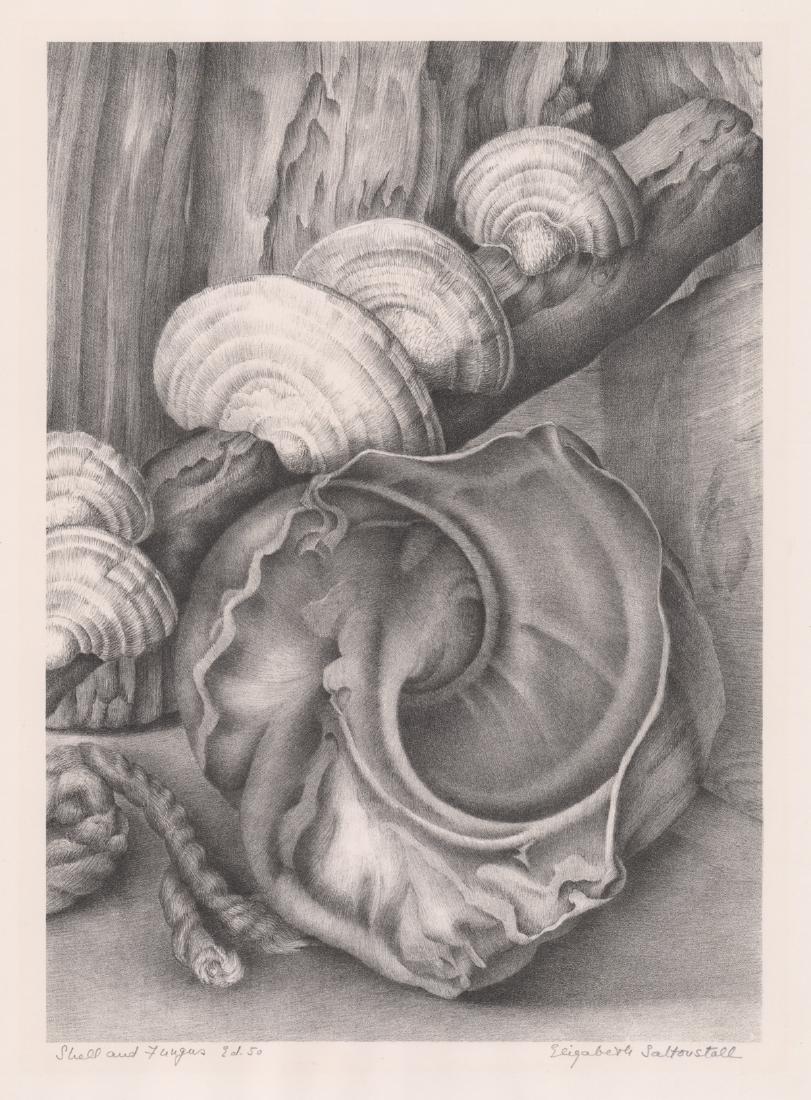 Elizabeth Saltoustall Lithograph (1 of 5)