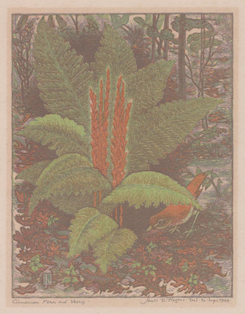 James D. Havens Color Woodblock Pencil Signed: James Dexter Havens, Color Woodblock. Pencil signed and dated 1948 lower right. Titled in pencil " Cinnamon Fern and Veery" in pencil lower left. Approximate image size 8 1/2" x 6 1/2" and sheet size