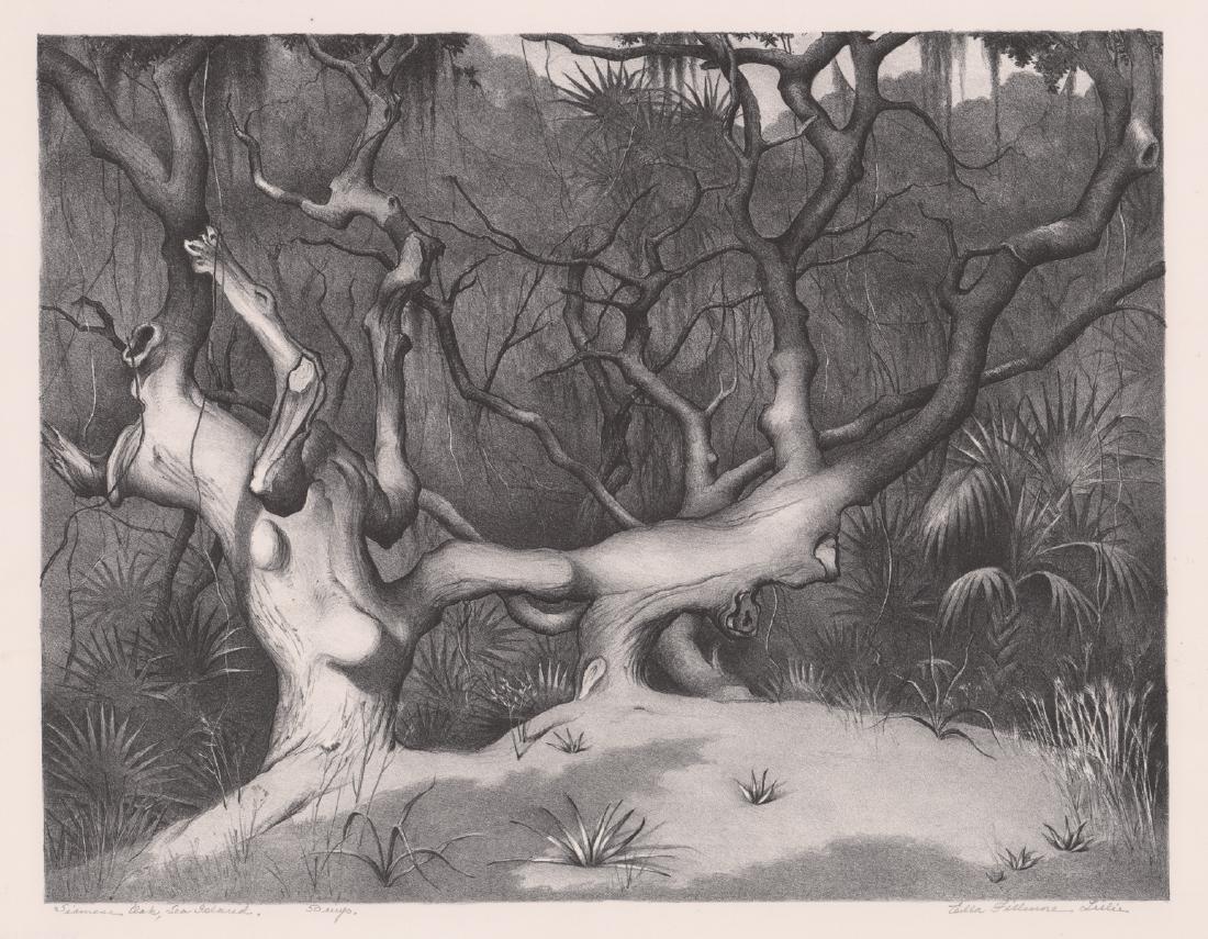 Ella Fillmore Lillie Pencil Signed Lithograph (1 of 5)