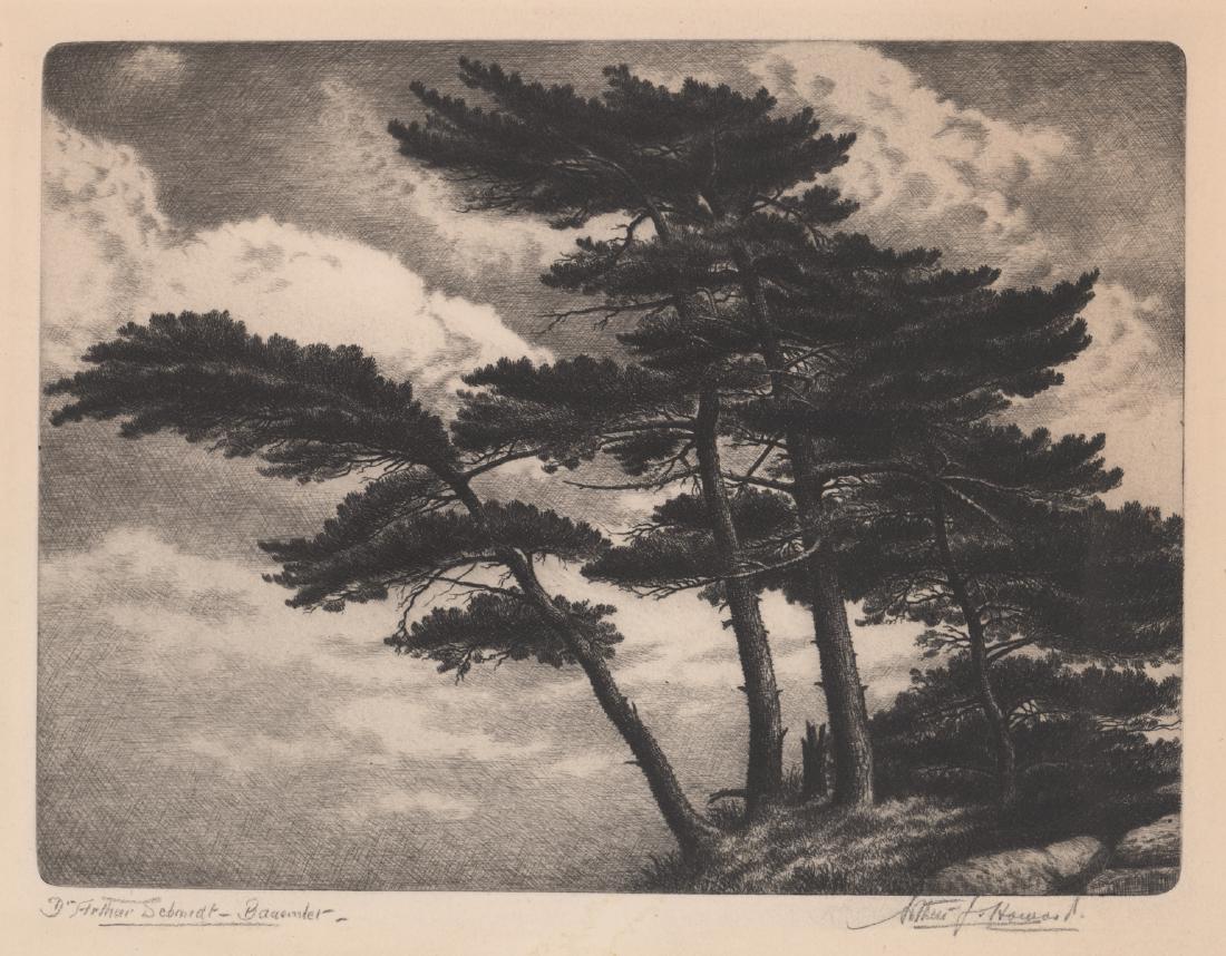 A Fine Illegibly Signed Etching (1 of 5)