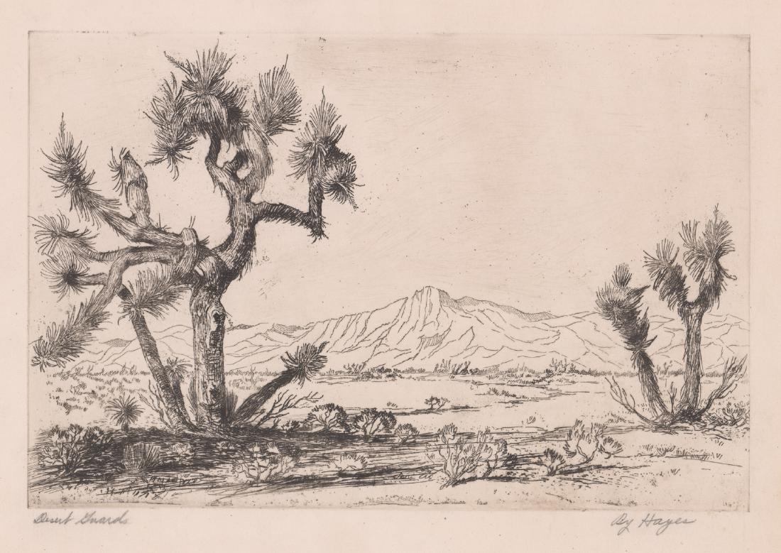 Desert Guard Etching by Hayes (1 of 5)