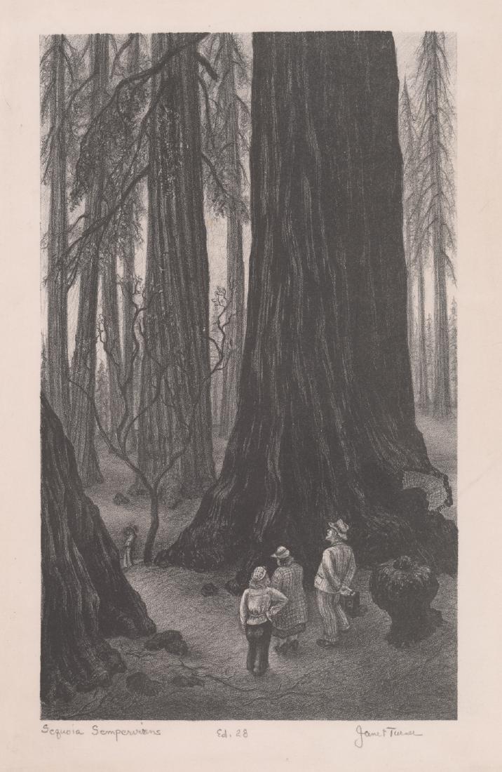 Janet Elizabeth Turner Lithograph (1 of 4)