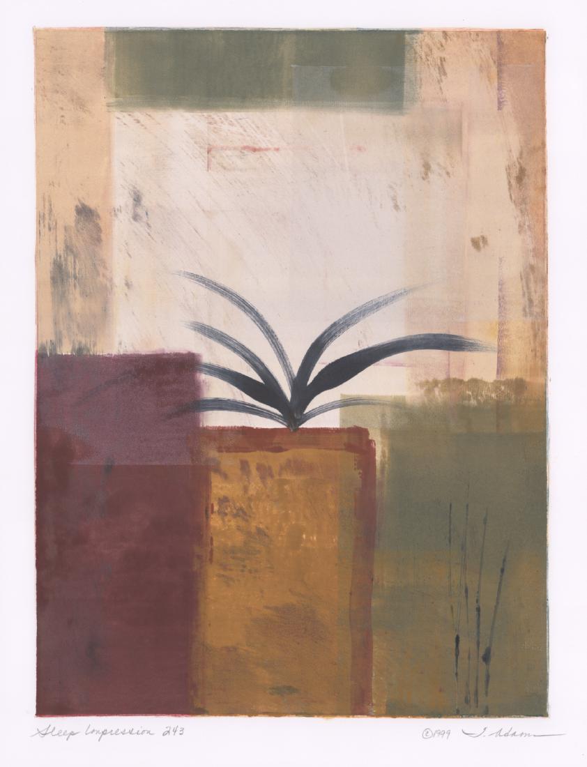 Tracey Adams Monoprint: Tracey Adams monoprint. "Sleep Impression 243", 1999. Measures 15.5" x 11.5" image size and 30" x 22" sheet size. Ex/Ex+ condition. Unframed, loose and not glued or mounted. Provenance: Formerly in th