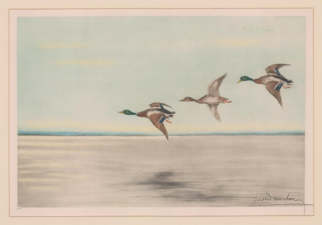 Leon Danchin Signed Color Etching: Leon Danchin signed color etching. Signed in pencil "Leon Danchin" lower right. Titled "At Large (Mallard Ducks in Flight)." Numbered in pencil "194/500" lower left. Measures 16" x 23.75" plate size a